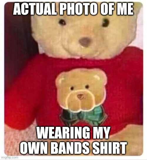 ACTUAL PHOTO OF ME; WEARING MY OWN BANDS SHIRT | made w/ Imgflip meme maker