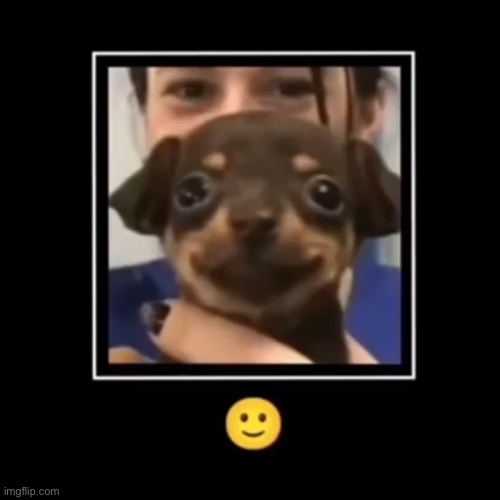 . | made w/ Imgflip meme maker