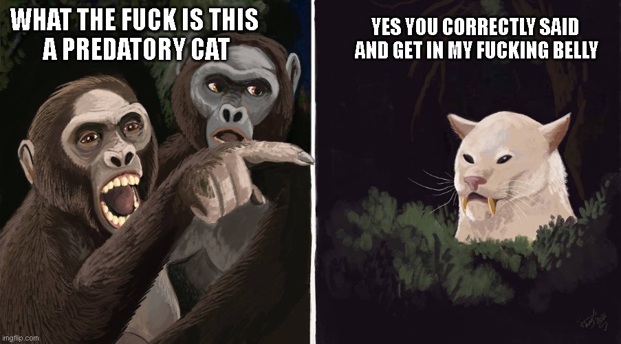 a predator and prey relationship with our early ancestors and sabertooths be like | YES YOU CORRECTLY SAID 
AND GET IN MY FUCKING BELLY; WHAT THE FUCK IS THIS 
A PREDATORY CAT | image tagged in woman yelling at cat,paleomeme,australopithecus,megatereon,pleistocene,funny | made w/ Imgflip meme maker