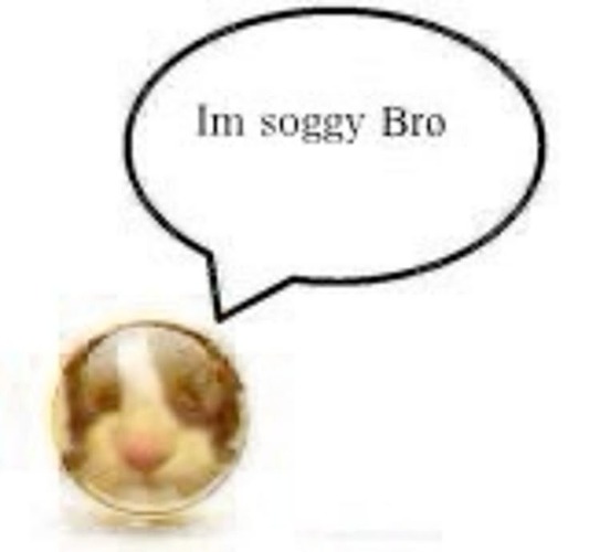 Im soggy bro | image tagged in im soggy bro | made w/ Imgflip meme maker