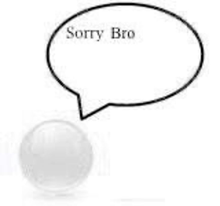 Sorry Bro Blank Meme Template
