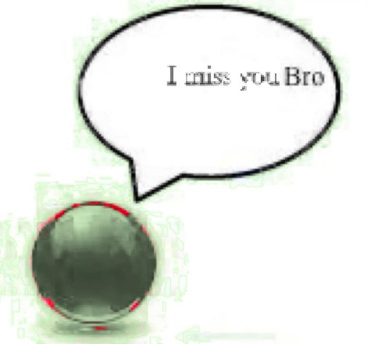 I miss you Bro | image tagged in i miss you bro | made w/ Imgflip meme maker