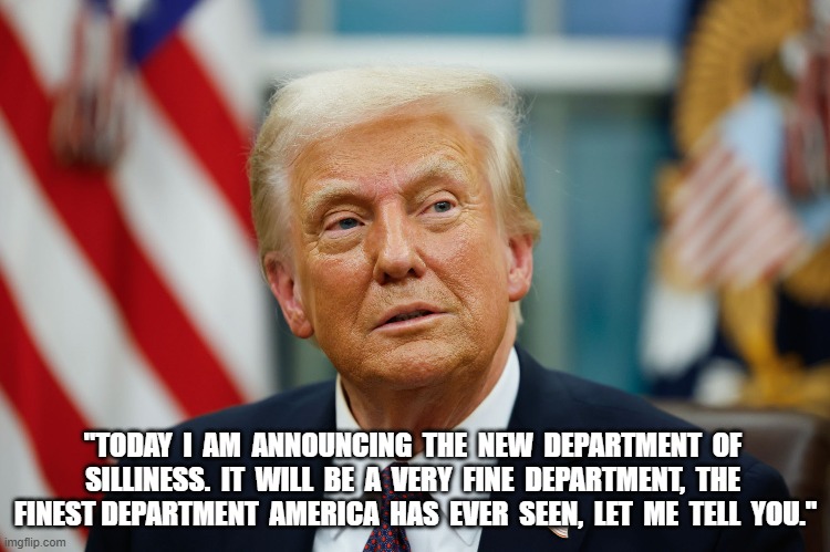 Department of Government Dumbasses | "TODAY  I  AM  ANNOUNCING  THE  NEW  DEPARTMENT  OF  SILLINESS.  IT  WILL  BE  A  VERY  FINE  DEPARTMENT,  THE  FINEST DEPARTMENT  AMERICA  HAS  EVER  SEEN,  LET  ME  TELL  YOU." | image tagged in donald trump | made w/ Imgflip meme maker