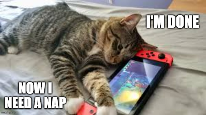 memes by Brad - cat is pooped after playing video games - funny - | I'M DONE; NOW I NEED A NAP | image tagged in cats,funny,kitten,video games,humor,tired cat | made w/ Imgflip meme maker