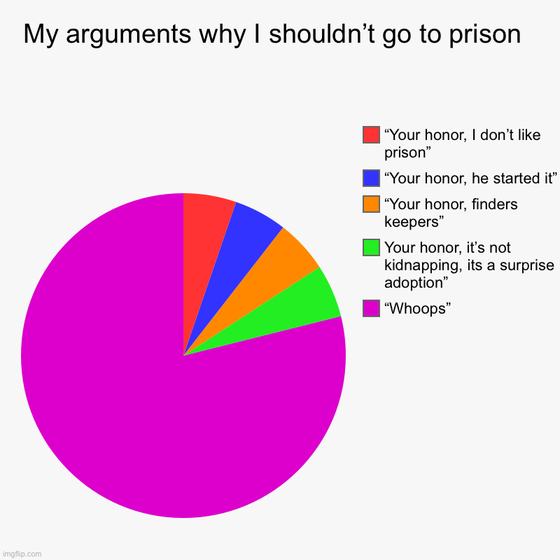 Your honor, my client pleads whoopsiedaisy | My arguments why I shouldn’t go to prison  | “Whoops”, Your honor, it’s not kidnapping, its a surprise adoption”, “Your honor, finders keepe | image tagged in charts,pie charts | made w/ Imgflip chart maker