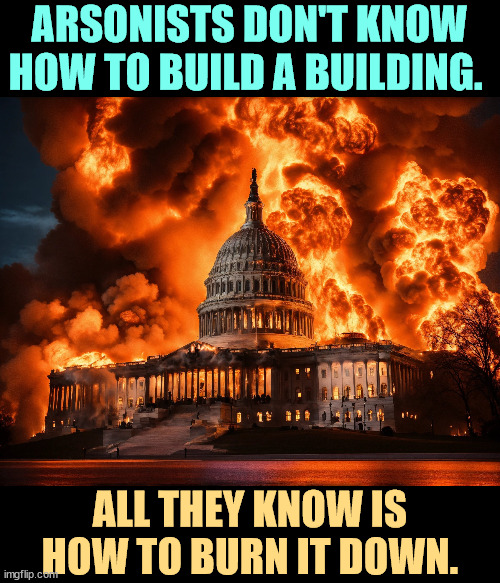 ARSONISTS DON'T KNOW HOW TO BUILD A BUILDING. ALL THEY KNOW IS HOW TO BURN IT DOWN. | image tagged in trump,elon musk,maga,arson,america,washington dc | made w/ Imgflip meme maker