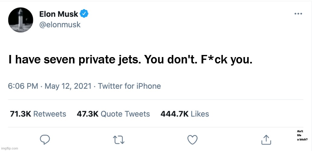 Not to put too fine a point on it. | I have seven private jets. You don't. F*ck you. Ain't life a bitch? | image tagged in elon musk blank tweet,elon musk,tax cuts for the rich,billionaire,crazy,don't do drugs | made w/ Imgflip meme maker