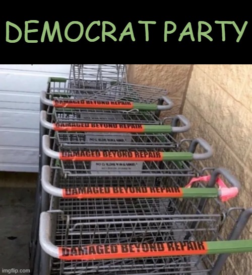 Self-Inflicted Wounds | DEMOCRAT PARTY | image tagged in progressives,liberals,leftists,democrats,marxism,communism | made w/ Imgflip meme maker