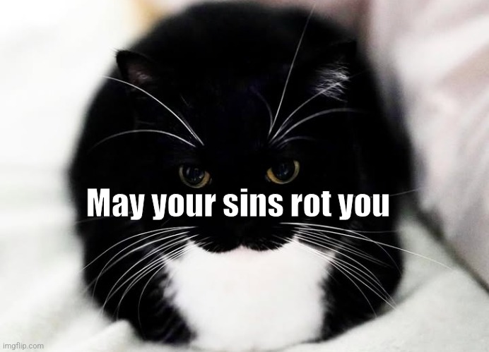 May your sins rot you | made w/ Imgflip meme maker
