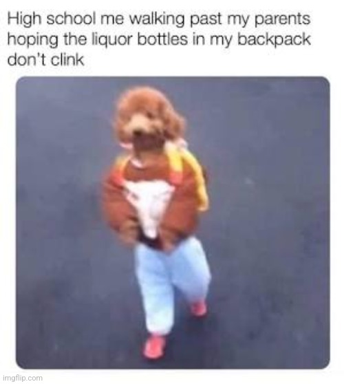 image tagged in dawg,liquor,high school,i have kids in my basement,relatable memes | made w/ Imgflip meme maker