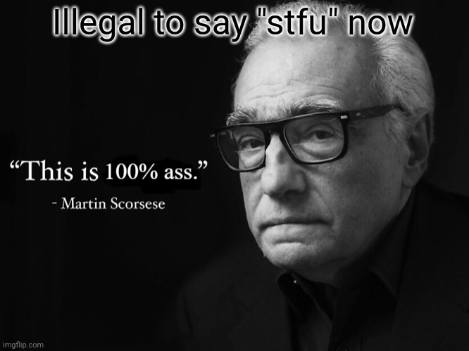 this is 100% ass | Illegal to say "stfu" now | image tagged in this is 100 ass | made w/ Imgflip meme maker