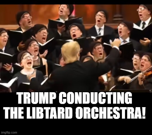 they oink loud , they oink high, they oink in perfect harmony!  Trump is the master | TRUMP CONDUCTING THE LIBTARD ORCHESTRA! | image tagged in stupid liberals,stupid people,funny memes,truth,donald trump approves | made w/ Imgflip meme maker