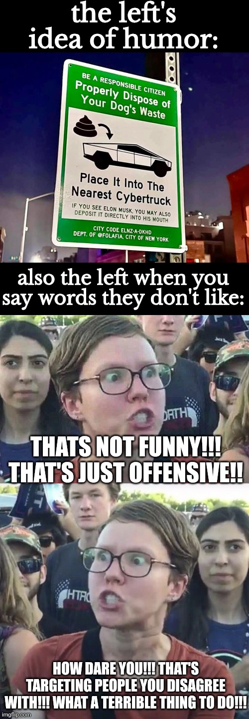 the hypocrisy is wild | the left's idea of humor:; also the left when you say words they don't like:; THATS NOT FUNNY!!! THAT'S JUST OFFENSIVE!! HOW DARE YOU!!! THAT'S TARGETING PEOPLE YOU DISAGREE WITH!!! WHAT A TERRIBLE THING TO DO!!! | image tagged in triggered liberal,triggered feminist,leftists,censorship,elon musk,the left cant meme | made w/ Imgflip meme maker