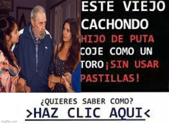 9ni7sj.jpg