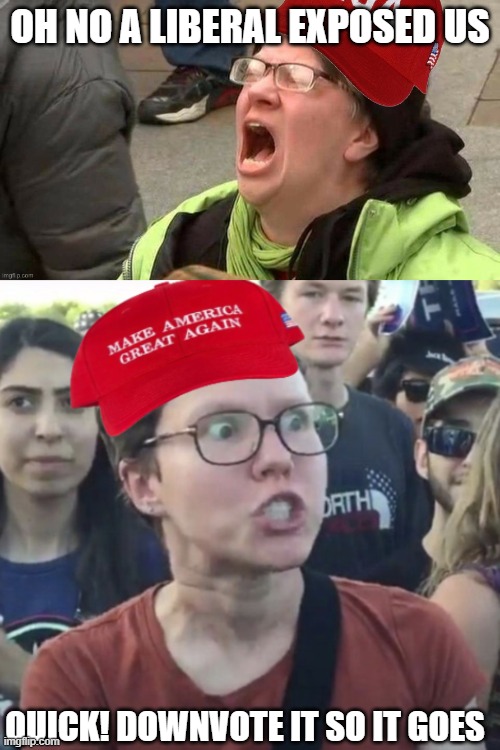 Not answering is another Maga friendly option | OH NO A LIBERAL EXPOSED US; QUICK! DOWNVOTE IT SO IT GOES | image tagged in screaming maga,maga loser,pathetic don,i dont want alts in the comments,i dont want bots in the comments | made w/ Imgflip meme maker