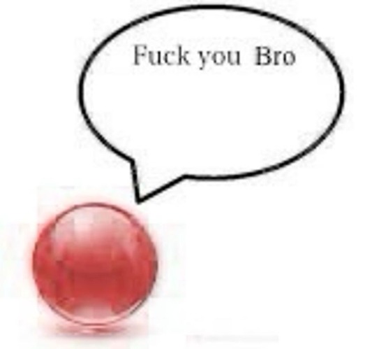 Fuck you Bro | image tagged in fuck you bro | made w/ Imgflip meme maker