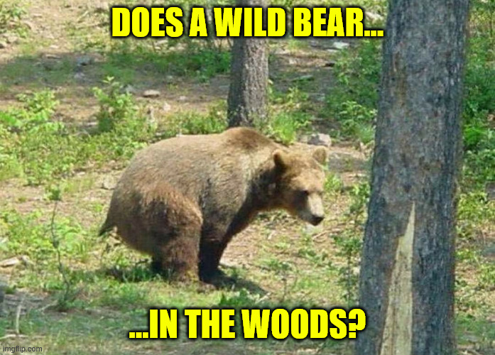 Bear Shit In Woods | DOES A WILD BEAR... ...IN THE WOODS? | image tagged in bear shit in woods | made w/ Imgflip meme maker