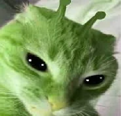 Gnorp Blank Meme Template