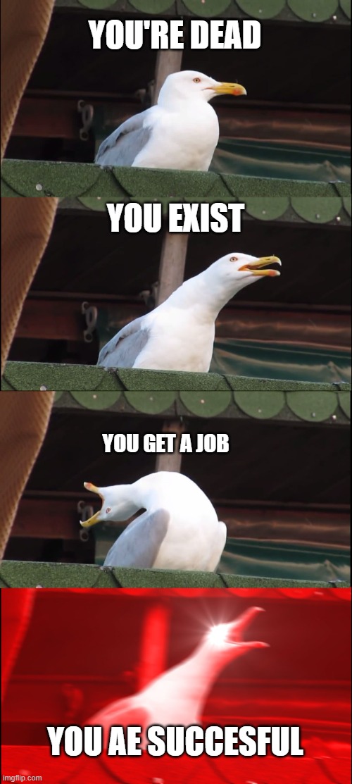 Inhaling Seagull | YOU'RE DEAD; YOU EXIST; YOU GET A JOB; YOU AE SUCCESFUL | image tagged in memes,inhaling seagull | made w/ Imgflip meme maker