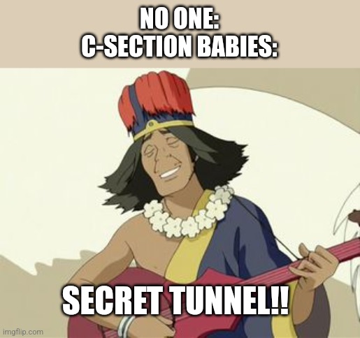 Very creative title | NO ONE:
C-SECTION BABIES:; SECRET TUNNEL!! | image tagged in secret tunnel | made w/ Imgflip meme maker