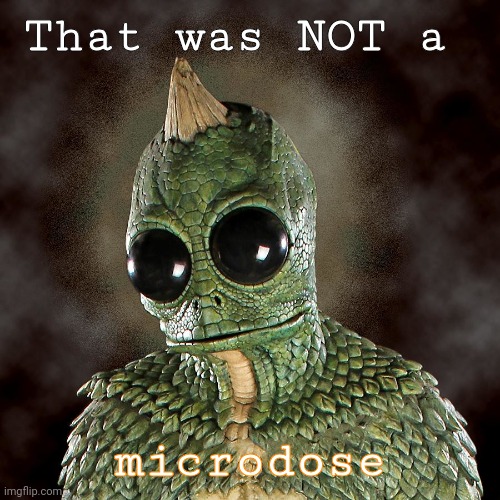 That was NOT a; microdose | image tagged in funny | made w/ Imgflip meme maker