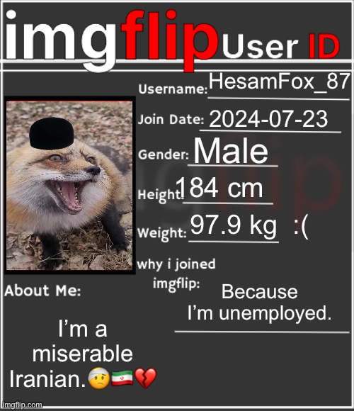 imgflip User ID | HesamFox_87; 2024-07-23; Male; 184 cm; 97.9 kg  :(; Because I’m unemployed. I’m a miserable Iranian.🤕🇮🇷💔 | image tagged in imgflip user id | made w/ Imgflip meme maker