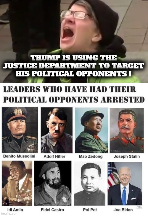 "It's not revenge he's after , it's a reckoning" | TRUMP IS USING THE JUSTICE DEPARTMENT TO TARGET HIS POLITICAL OPPONENTS ! | image tagged in screaming liberal,justice is coming,fascist democrats,you can run,politicians suck | made w/ Imgflip meme maker