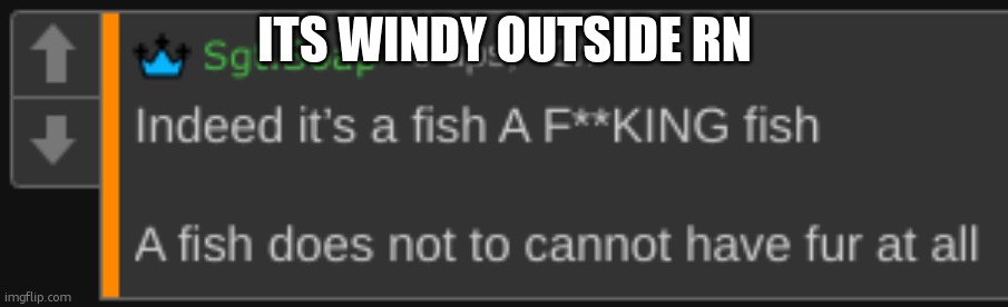 like a lot windy | ITS WINDY OUTSIDE RN | image tagged in a fish does not to cannot | made w/ Imgflip meme maker