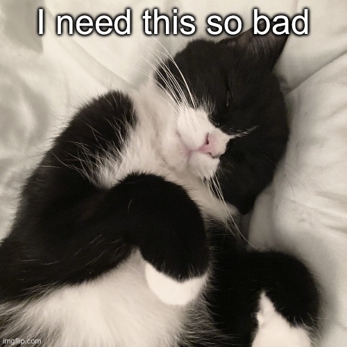 I need it </3 | I need this so bad | image tagged in i need it /3 | made w/ Imgflip meme maker