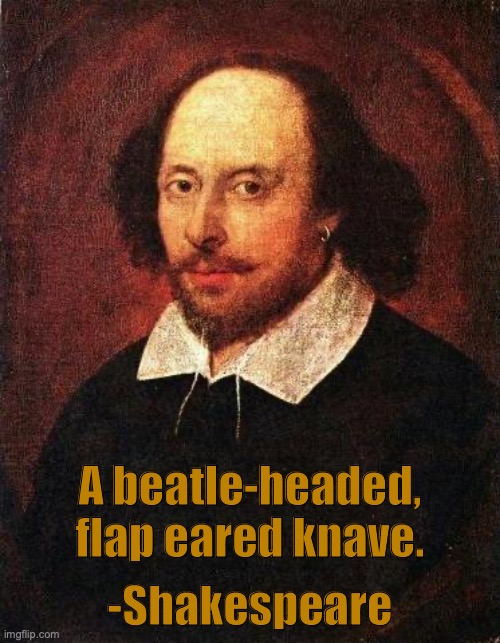 Shakespeare | A beatle-headed, flap eared knave. -Shakespeare | image tagged in shakespeare | made w/ Imgflip meme maker