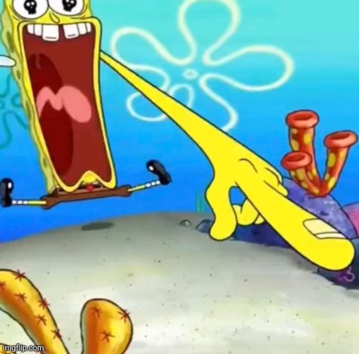 Sponge bob scream and point | image tagged in sponge bob scream and point | made w/ Imgflip meme maker