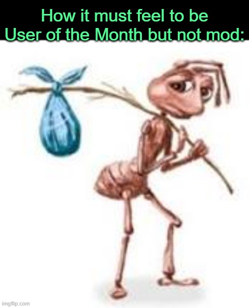 . | How it must feel to be User of the Month but not mod: | image tagged in sad ant with bindle | made w/ Imgflip meme maker