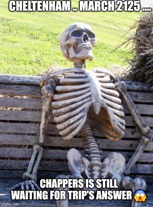 Waiting Skeleton Meme | CHELTENHAM .. MARCH 2125 .... CHAPPERS IS STILL WAITING FOR TRIP'S ANSWER 😱 | image tagged in memes,waiting skeleton | made w/ Imgflip meme maker