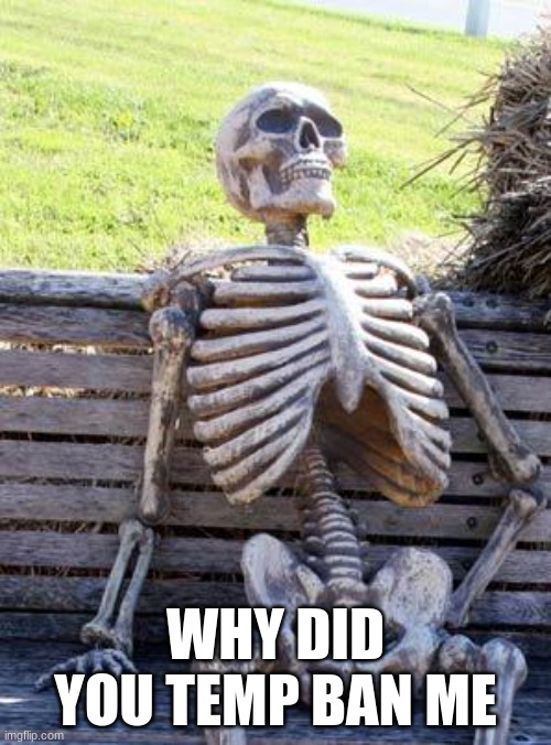 Waiting Skeleton Meme | WHY DID YOU TEMP BAN ME | image tagged in memes,waiting skeleton | made w/ Imgflip meme maker