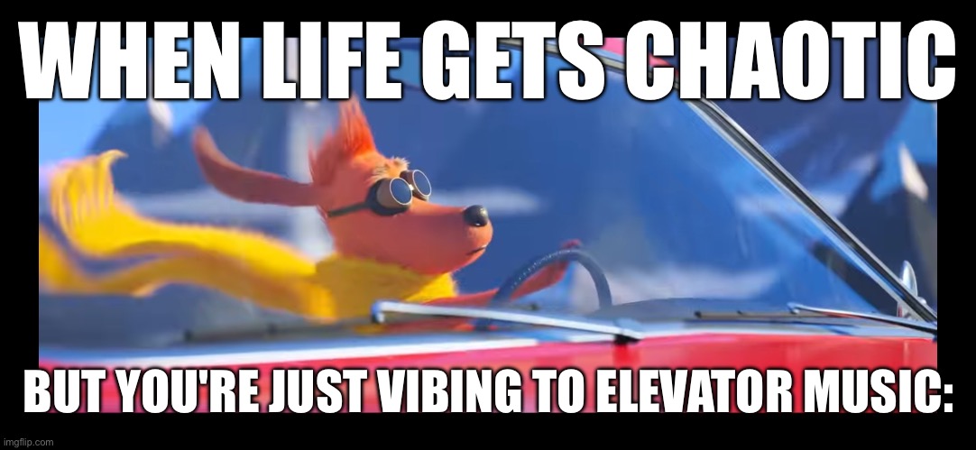 Max driving a car | WHEN LIFE GETS CHAOTIC; BUT YOU'RE JUST VIBING TO ELEVATOR MUSIC: | image tagged in max driving a car | made w/ Imgflip meme maker