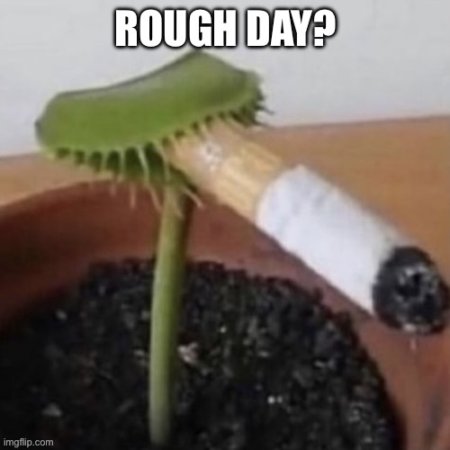 ROUGH DAY? | image tagged in plant smoking | made w/ Imgflip meme maker