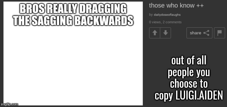 out of all people you choose to copy LUIGI.AIDEN | made w/ Imgflip meme maker