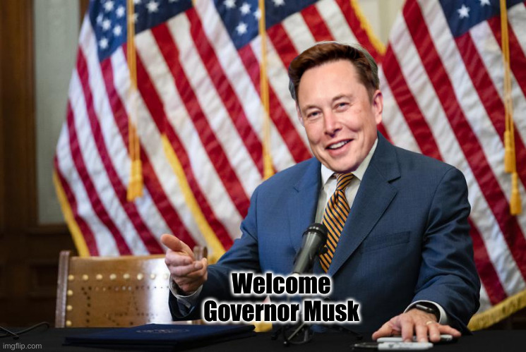 This Guy Will Do The Work That Needs Doing | Welcome Governor Musk | image tagged in political meme,politics,funny memes,funny,elon musk | made w/ Imgflip meme maker