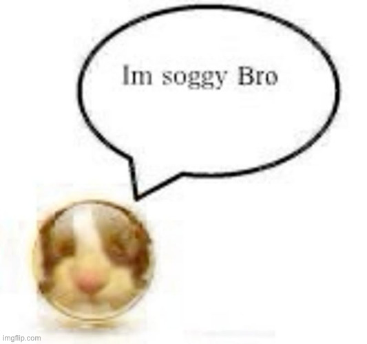 Im soggy bro | image tagged in im soggy bro | made w/ Imgflip meme maker