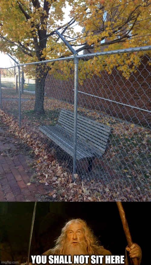 WHAT A TERRIBLE PLACEMENT | YOU SHALL NOT SIT HERE | image tagged in gandalf you shall not pass,fail,stupid people | made w/ Imgflip meme maker