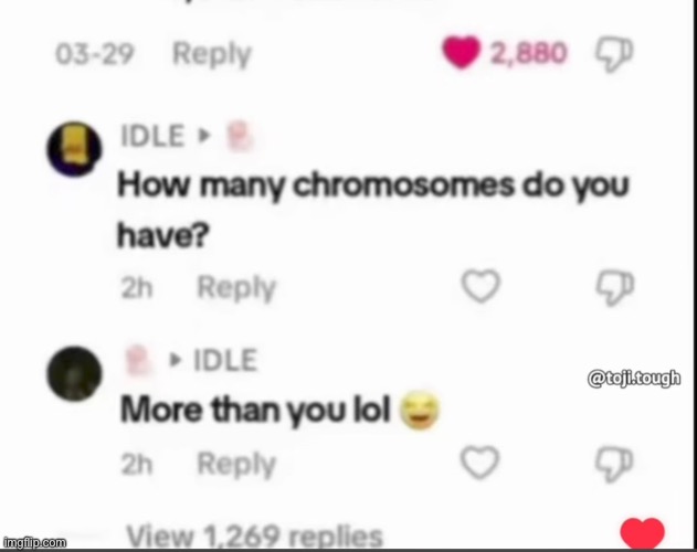 Chromosomes | made w/ Imgflip meme maker