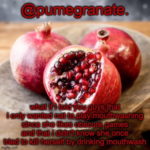genuinely when i made that post i didnt know that | what if i told you guys that i only wanted nat to play mouthwashing since she likes obscure games and that i didn't know she once tried to kill herself by drinking mouthwash | image tagged in moderately lazy temp | made w/ Imgflip meme maker