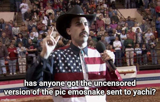 asking again | has anyone got the uncensored version of the pic emosnake sent to yachi? | image tagged in borat in america flag shirt | made w/ Imgflip meme maker