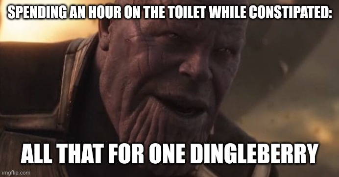 Thanos "All that for a drop of blood" | SPENDING AN HOUR ON THE TOILET WHILE CONSTIPATED:; ALL THAT FOR ONE DINGLEBERRY | image tagged in thanos all that for a drop of blood | made w/ Imgflip meme maker