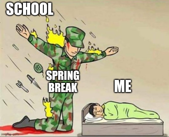 I'm finally on spring break!!! :) | SCHOOL; SPRING BREAK; ME | image tagged in soldier protecting sleeping child | made w/ Imgflip meme maker