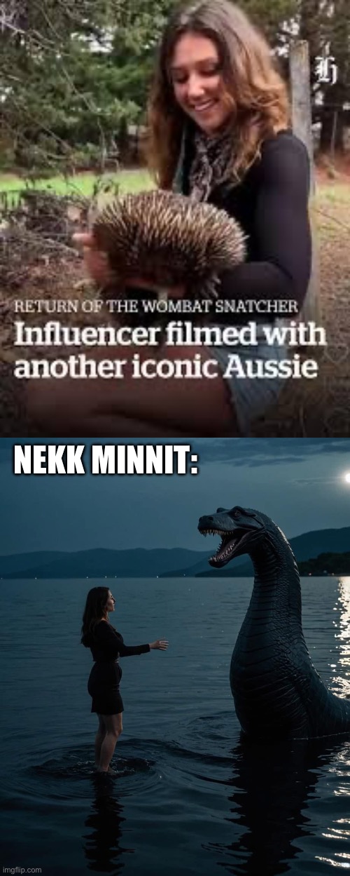 Her next target | NEKK MINNIT: | image tagged in influencer,tik tok,instagram,wombat,loch ness monster | made w/ Imgflip meme maker