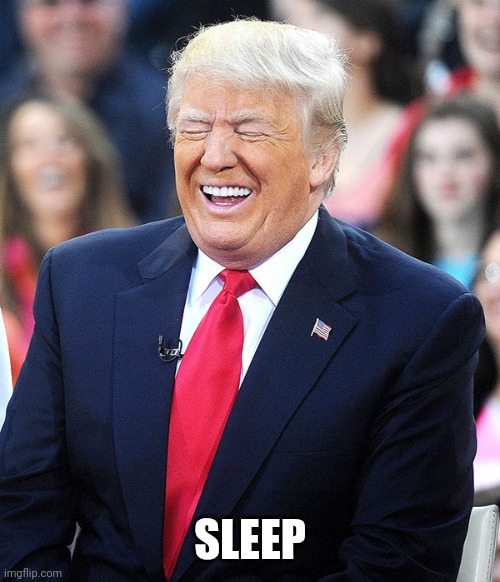 trump laughing | SLEEP | image tagged in trump laughing | made w/ Imgflip meme maker