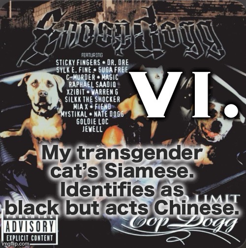 Vi. 2nd template | My transgender cat’s Siamese. Identifies as black but acts Chinese. | image tagged in vi 2nd template | made w/ Imgflip meme maker