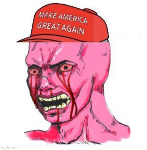 Triggered MAGAt | image tagged in triggered magat | made w/ Imgflip meme maker
