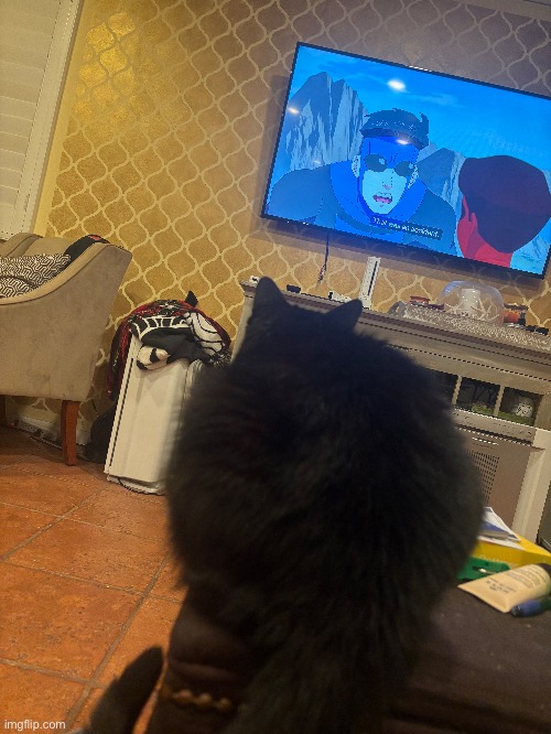 WHY IS MY CAT WATCHING INVINCIBLE | made w/ Imgflip meme maker